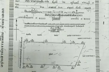 Land for sale in Bang Khu Wat, Pathum Thani