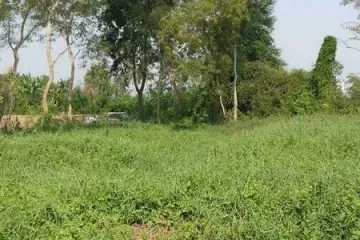 Land for Sale or Rent in Bang Bua Thong, Nonthaburi