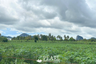 Land for sale in Na Jomtien, Chonburi