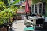 6 Bedroom Townhouse for sale in Baan Sinthawee Suanthon 3, Thung Khru, Bangkok
