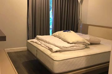1 Bedroom Condo for rent in The Crest Sukhumvit 49, Khlong Tan Nuea, Bangkok near BTS Thong Lo