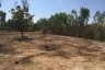 Land for sale in Don Pao, Chiang Mai