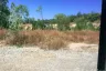 Land for sale in Don Pao, Chiang Mai