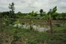 Land for sale in Mae Taeng, Chiang Mai