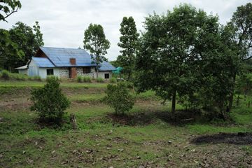 Land for sale in Mae Taeng, Chiang Mai