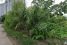 Land for sale in Nong Prue, Chonburi