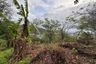 Land for sale in Karon, Phuket