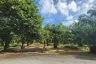 Land for sale in Thep Krasatti, Phuket