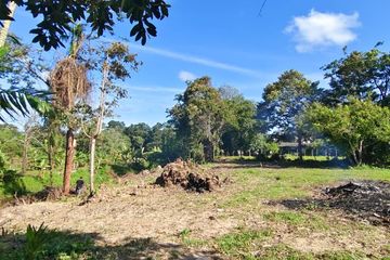 Land for sale in Khok Kloi, Phang Nga