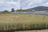 Land for sale in Choeng Thale, Phuket