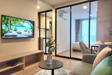 1 Bedroom Condo for rent in THE BASE Bukit, Wichit, Phuket