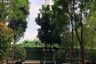 2 Bedroom Condo for Sale or Rent in Noble Revolve Ratchada 2, Huai Khwang, Bangkok near MRT Thailand Cultural Centre