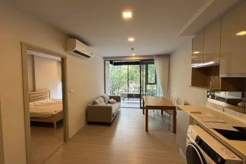 1 Bedroom Condo for rent in Quintara Treehaus Sukhumvit 42, Phra Khanong, Bangkok near BTS Ekkamai