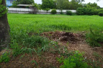 Land for sale in Windmill Park, Bang Phli Yai, Samut Prakan