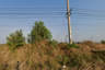 Land for sale in Khao Mai Kaeo, Chonburi