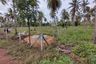 Land for sale in Thong Chai, Prachuap Khiri Khan