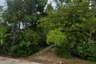 Land for sale in Phlu Ta Luang, Chonburi