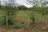 Land for sale in Hua Hin, Prachuap Khiri Khan
