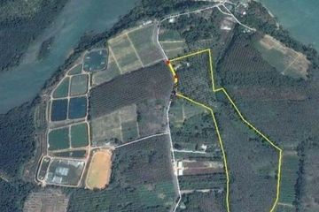 Land for sale in Mai Khao, Phuket
