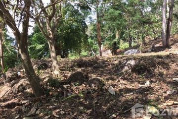 Land for sale in Patong, Phuket