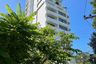 2 Bedroom Commercial for sale in Bang Lamung, Chonburi