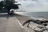 Land for sale in Na Kluea, Chonburi