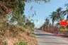 Land for sale in Khao Mai Kaeo, Chonburi