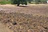 Land for sale in Na Kluea, Chonburi