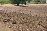 Land for sale in Na Kluea, Chonburi