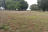 Land for sale in Ko Yao Yai, Phang Nga