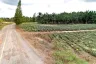 Land for sale in Salalai, Prachuap Khiri Khan