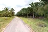 Land for sale in Salalai, Prachuap Khiri Khan