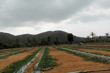 Land for sale in Pak Nam Pran, Prachuap Khiri Khan