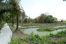 Land for sale in Suan Luang, Bangkok
