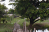 Land for sale in Sai Mai, Bangkok