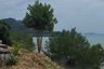 Land for sale in Lo Yung, Phang Nga