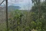 Land for sale in Lo Yung, Phang Nga