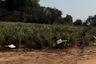 Land for sale in Pran Buri, Prachuap Khiri Khan