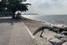 Land for sale in Na Kluea, Chonburi