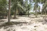 Land for sale in Huai Sai, Prachuap Khiri Khan