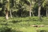 Land for sale in Huai Sai, Prachuap Khiri Khan