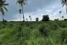 Land for sale in Pong, Chonburi