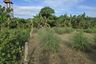 Land for sale in Sakhu, Phuket