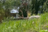 Land for sale in Karon, Phuket
