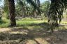 Land for sale in Cha am, Phetchaburi