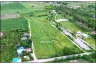 Land for sale in Huai Sai Nua, Phetchaburi