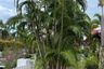 3 Bedroom House for sale in Kamala Nathong House, Kamala, Phuket