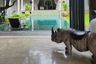 6 Bedroom Villa for rent in Ko Kaeo, Phuket