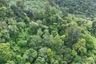 Land for sale in Patong, Phuket