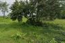 Land for sale in Khao Noi, Prachuap Khiri Khan